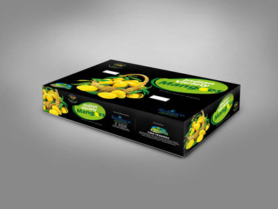 alphonsa mango box design